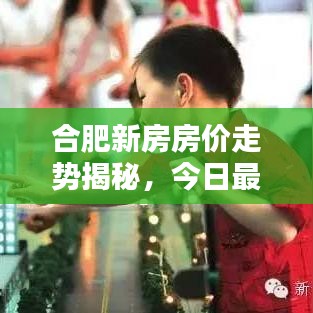合肥新房房价走势揭秘，今日最新动态一网打尽