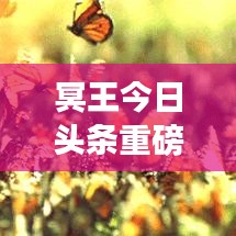 冥王今日头条重磅新闻，揭秘最新动态！
