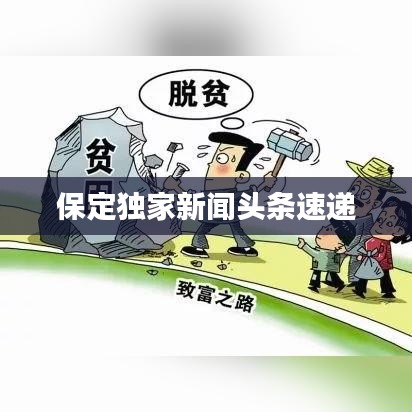 保定独家新闻头条速递