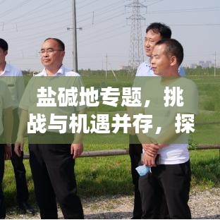 盐碱地专题，挑战与机遇并存，探索未知领域的新篇章
