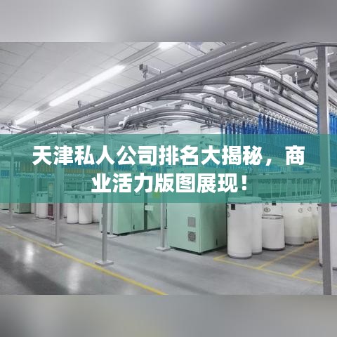 天津私人公司排名大揭秘，商业活力版图展现！