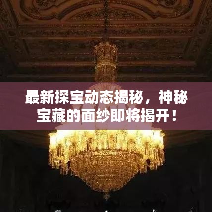最新探宝动态揭秘，神秘宝藏的面纱即将揭开！