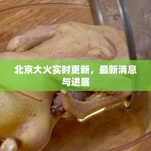 北京大火实时更新，最新消息与进展