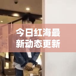 今日红海最新动态更新