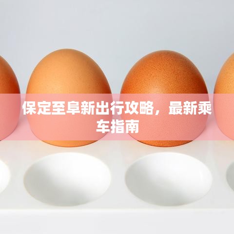 保定至阜新出行攻略，最新乘车指南