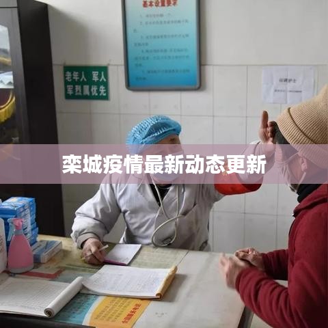 栾城疫情最新动态更新