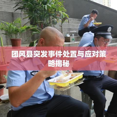 团风县突发事件处置与应对策略揭秘