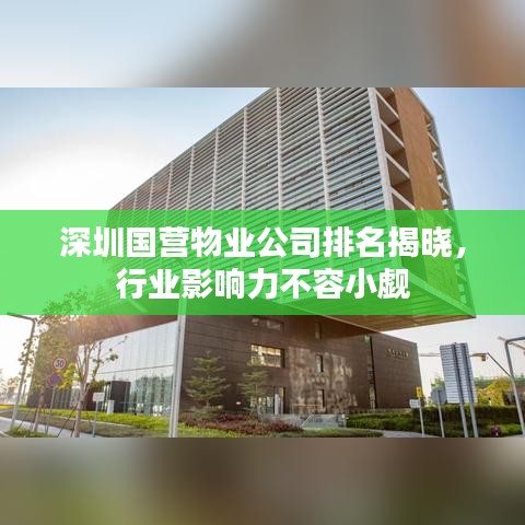 深圳国营物业公司排名揭晓，行业影响力不容小觑