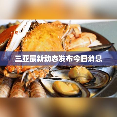 三亚最新动态发布今日消息
