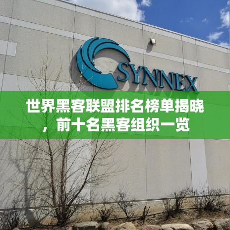 世界黑客联盟排名榜单揭晓，前十名黑客组织一览