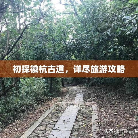 观往知来