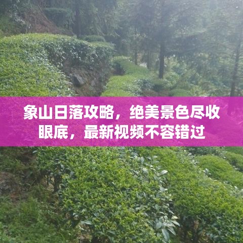 象山日落攻略，绝美景色尽收眼底，最新视频不容错过
