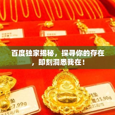 百度独家揭秘，探寻你的存在，即刻洞悉我在！