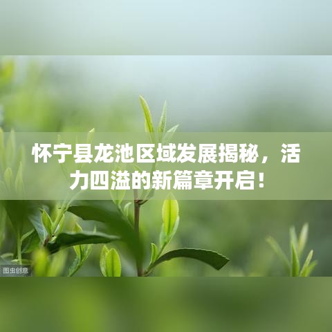 怀宁县龙池区域发展揭秘，活力四溢的新篇章开启！