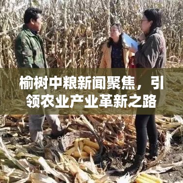 榆树中粮新闻聚焦，引领农业产业革新之路