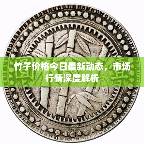 择善而从