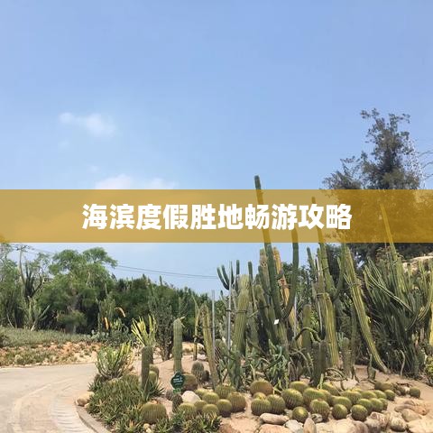 海滨度假胜地畅游攻略