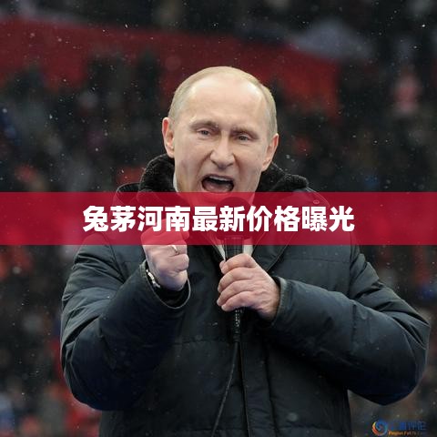 兔茅河南最新价格曝光
