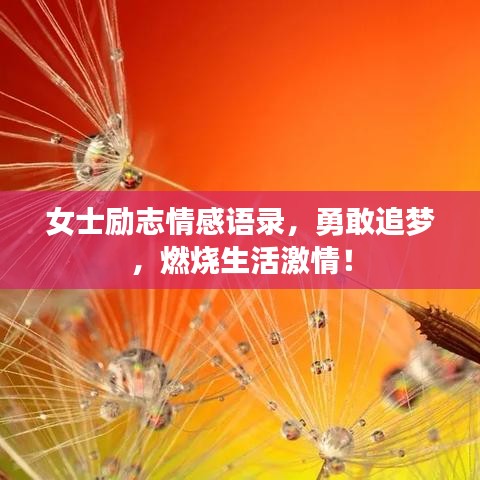女士励志情感语录，勇敢追梦，燃烧生活激情！