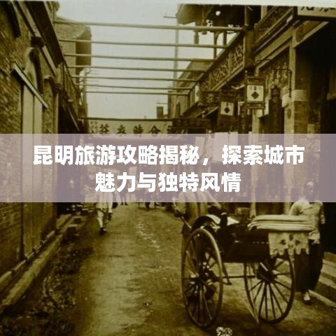 昆明旅游攻略揭秘，探索城市魅力与独特风情