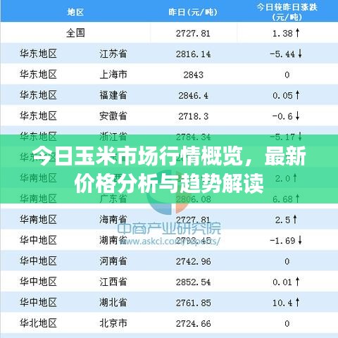 今日玉米市场行情概览，最新价格分析与趋势解读