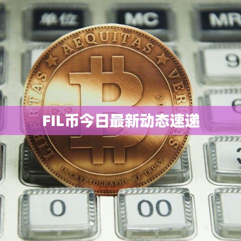 FIL币今日最新动态速递