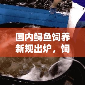 国内鲟鱼饲养新规出炉，饲养条件全面提升
