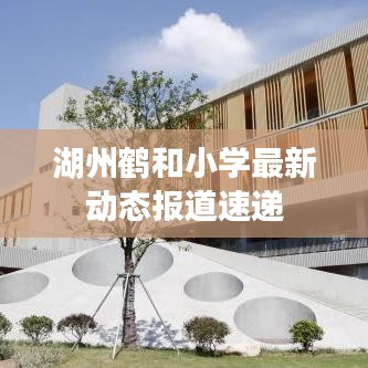 湖州鹤和小学最新动态报道速递