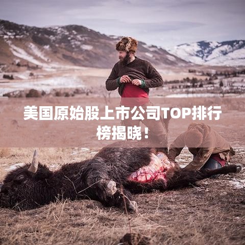 美国原始股上市公司TOP排行榜揭晓！