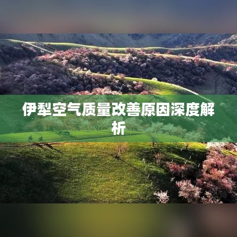 伊犁空气质量改善原因深度解析