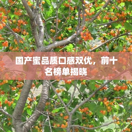 国产蜜品质口感双优，前十名榜单揭晓