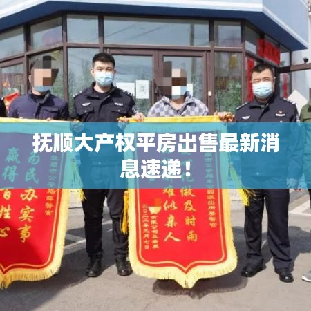 抚顺大产权平房出售最新消息速递！