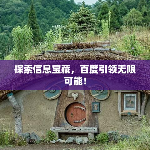 探索信息宝藏，百度引领无限可能！