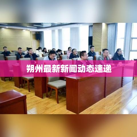朔州最新新闻动态速递