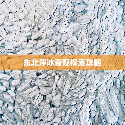 东北浮冰奇观探索攻略