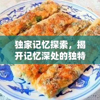 独家记忆探索，揭开记忆深处的独特印记