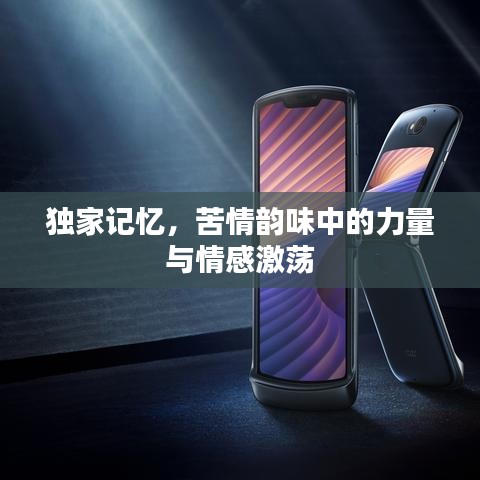 独家记忆，苦情韵味中的力量与情感激荡