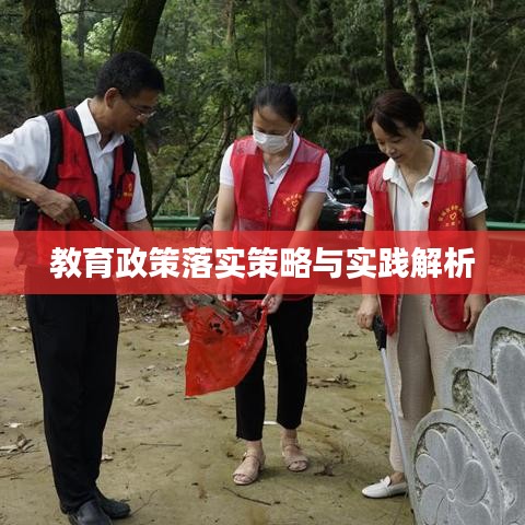 教育政策落实策略与实践解析