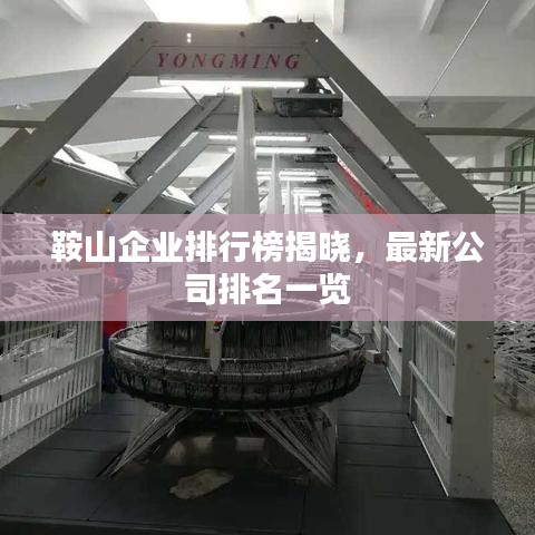 鞍山企业排行榜揭晓，最新公司排名一览