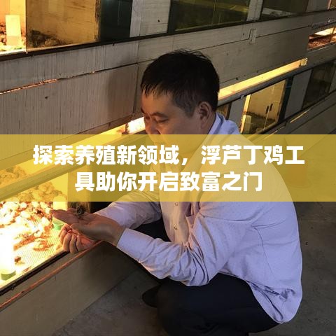探索养殖新领域，浮芦丁鸡工具助你开启致富之门