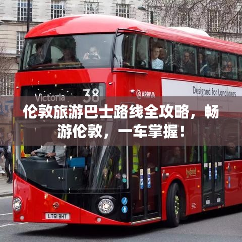 伦敦旅游巴士路线全攻略，畅游伦敦，一车掌握！