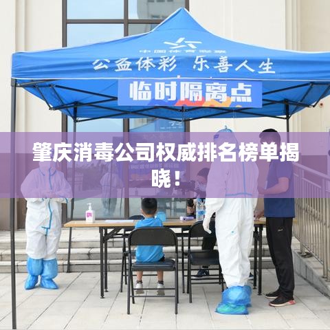 肇庆消毒公司权威排名榜单揭晓！