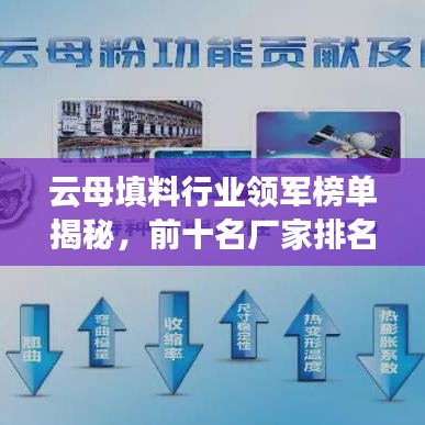 云母填料行业领军榜单揭秘，前十名厂家排名及实力解析
