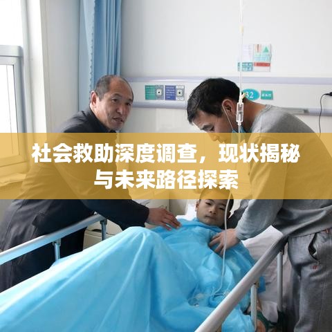 社会救助深度调查，现状揭秘与未来路径探索