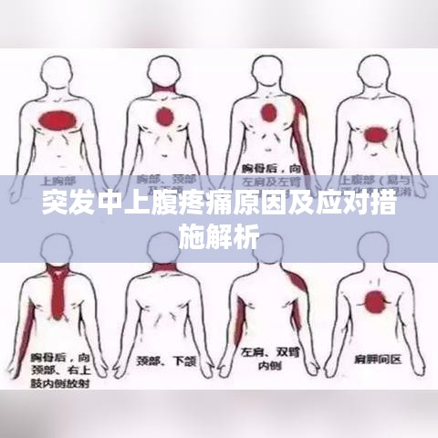突发中上腹疼痛原因及应对措施解析