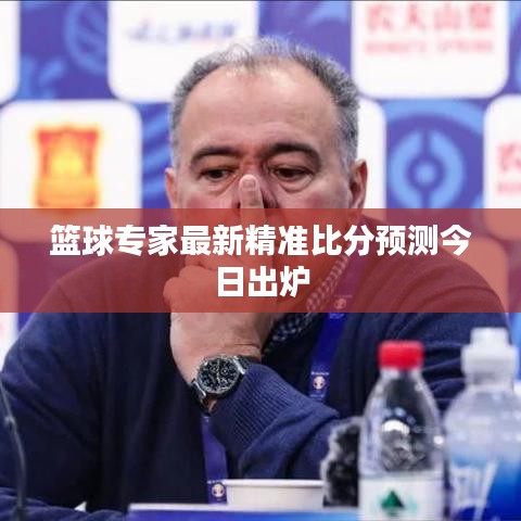 篮球专家最新精准比分预测今日出炉