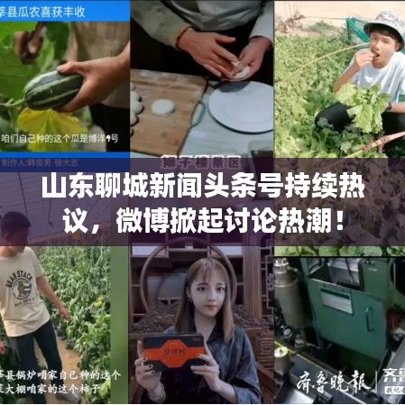 山东聊城新闻头条号持续热议，微博掀起讨论热潮！