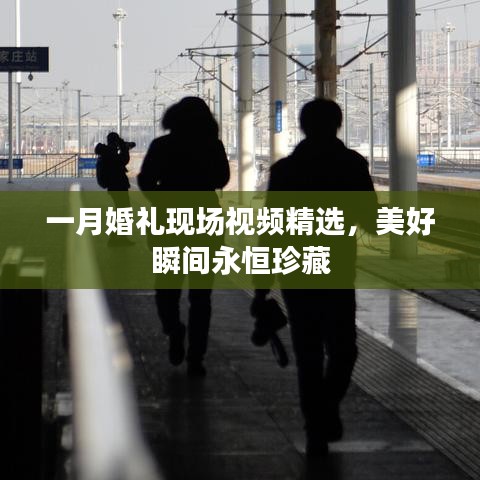 一月婚礼现场视频精选，美好瞬间永恒珍藏