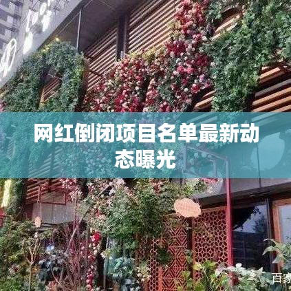 网红倒闭项目名单最新动态曝光