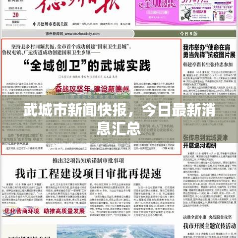 武城市新闻快报，今日最新消息汇总